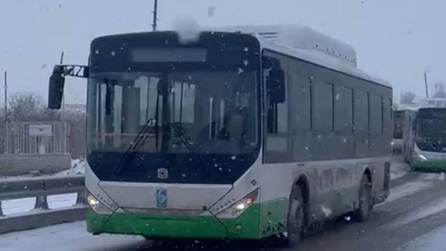 автобусы