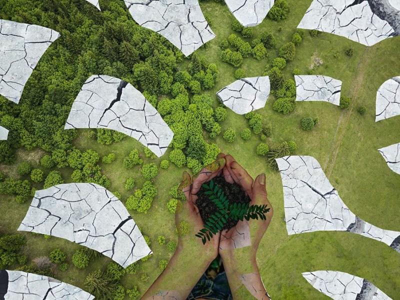 экосистемы