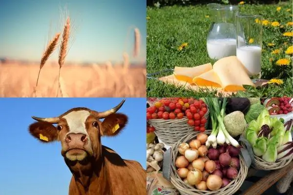 кластерное кредитование