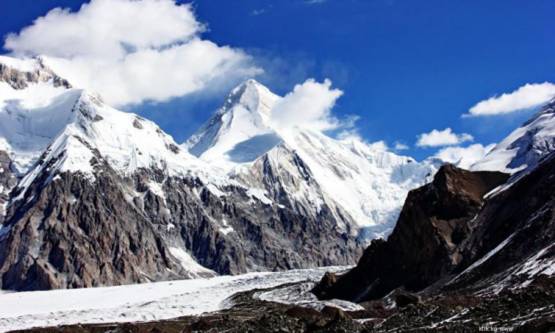 трастовый фонд