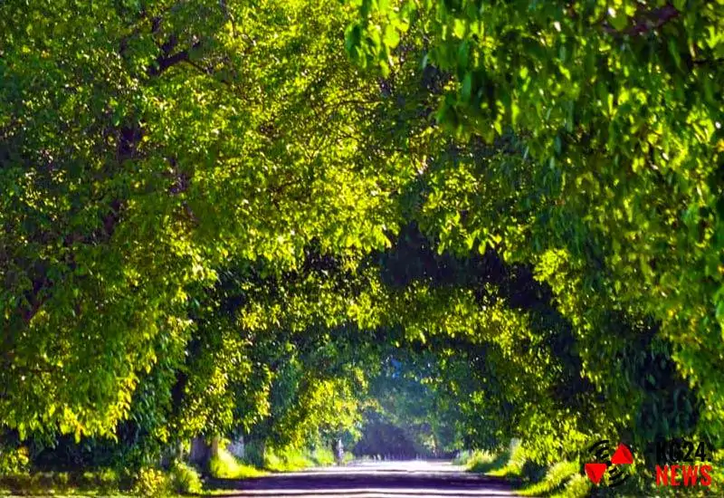 Арсланбоб Ореховый туннель