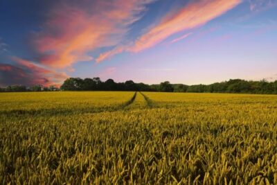 countryside-2326787_1280