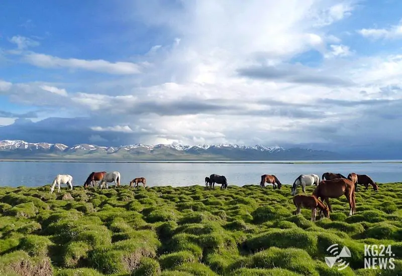 На побережьях Сон-Куль