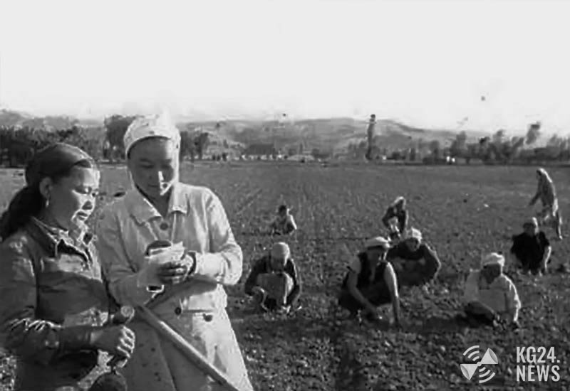 сельское хозяйство в Киргизии в войну