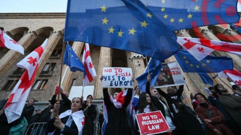 В грузинских протестах приняла участие дипломатия европейских стран