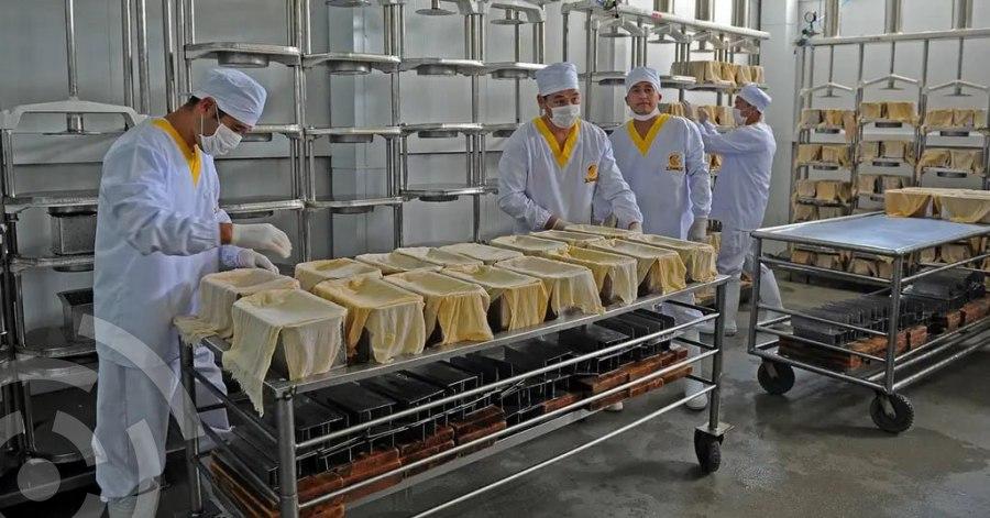 Пищевая промышленность