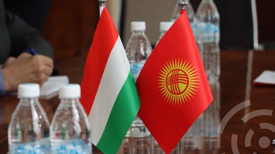 Флаги Венгрии и Казахстана