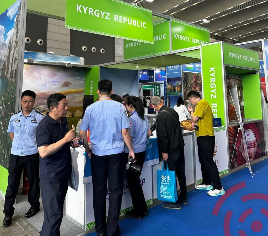 Кыргызстан заинтересовал китайских туристов древним городом Суябом