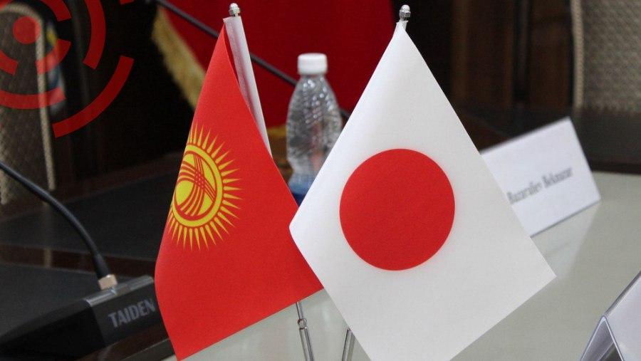 Кыргызстан и Япония намерены развивать сотрудничество в сфере здравоохранения