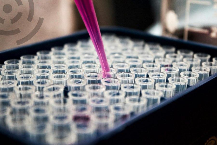 В Бишкеке построят лабораторию для контроля качества сельхозпродукции на экспорт в Китай — проект полностью профинансирует китайская сторона.