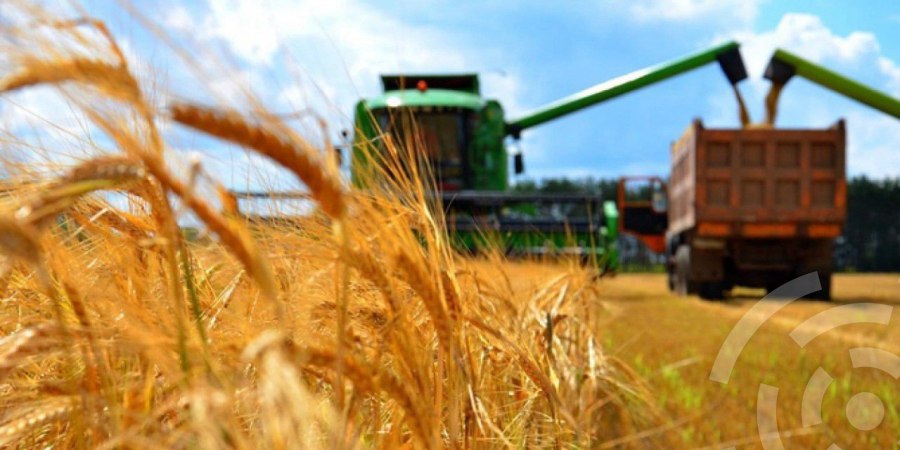 Работа в поле