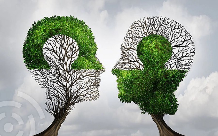 Религиозные сообщества помогут формировать экологическое сознание