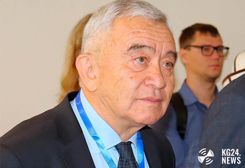Академик НАН Кыргызской Республики