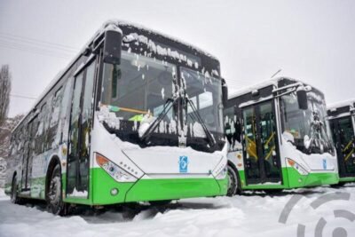 Автобусы