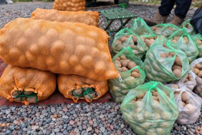 Картофель